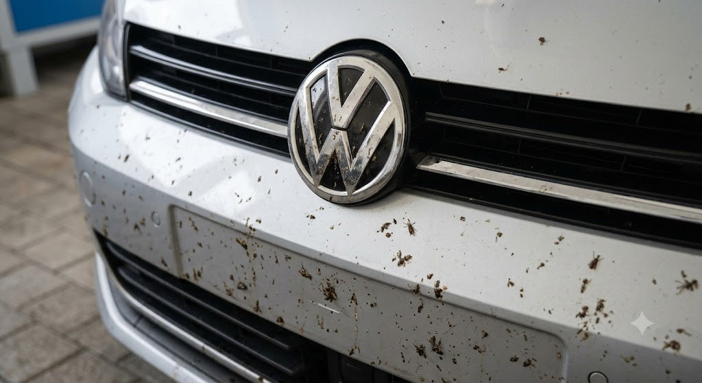 Insekten vom Auto entfernen ohne Lackschaden | Glanzwerk